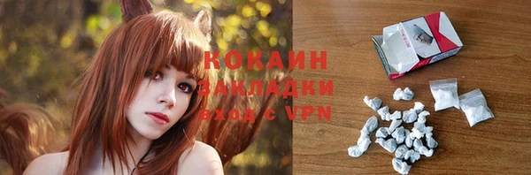 молекула духа Алексин