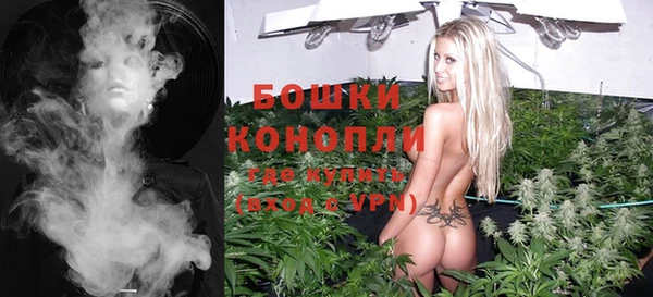 молекула духа Алексин