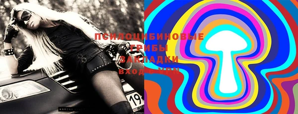 молекула духа Алексин