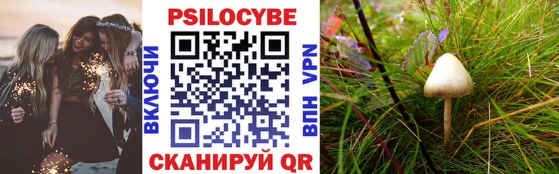 ссылка на мегу ТОР  как найти   shop состав  Галлюциногенные грибы Psilocybe  Абинск 